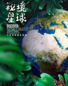 终于被国人“捧红”!车长超5米1,续航1200km