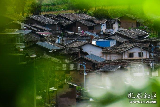 腰部按摩器哪个牌子好？五大超值精品机型种草总汇